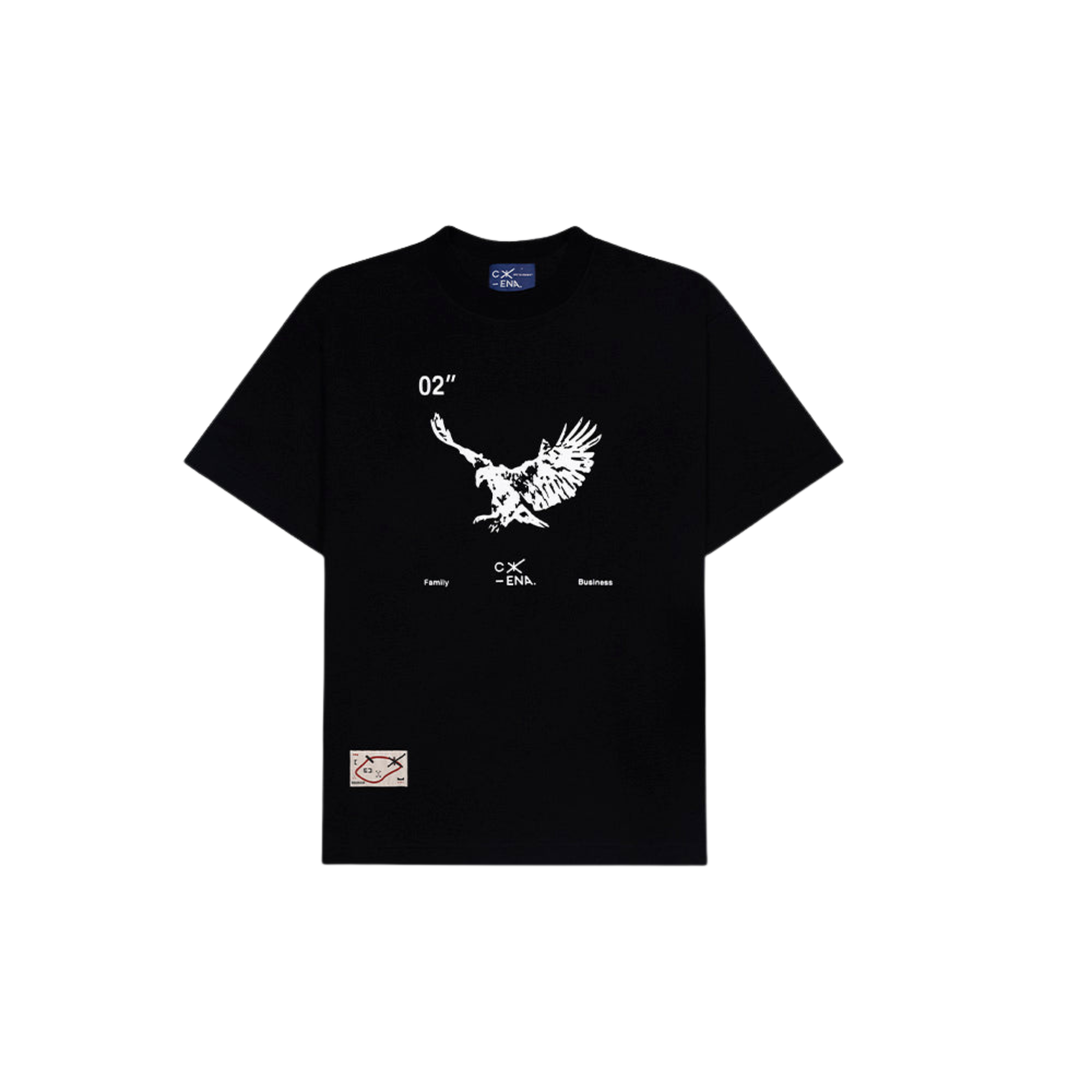 Camiseta CIENA Eagle Index Heavy